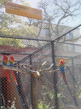As aves do Passeio Púlico ganharam novos recintos que primam pelo bem-estar animal.