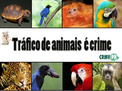 Tráfico de animais