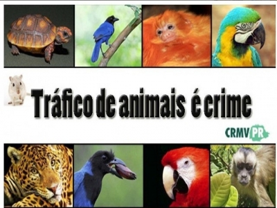 CRMVs e CFMV repudiam o tráfico de animais de qualquer espécie