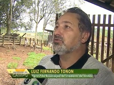Luiz Fernando Tonon, presidente da Associação de Criadores de Ovinos